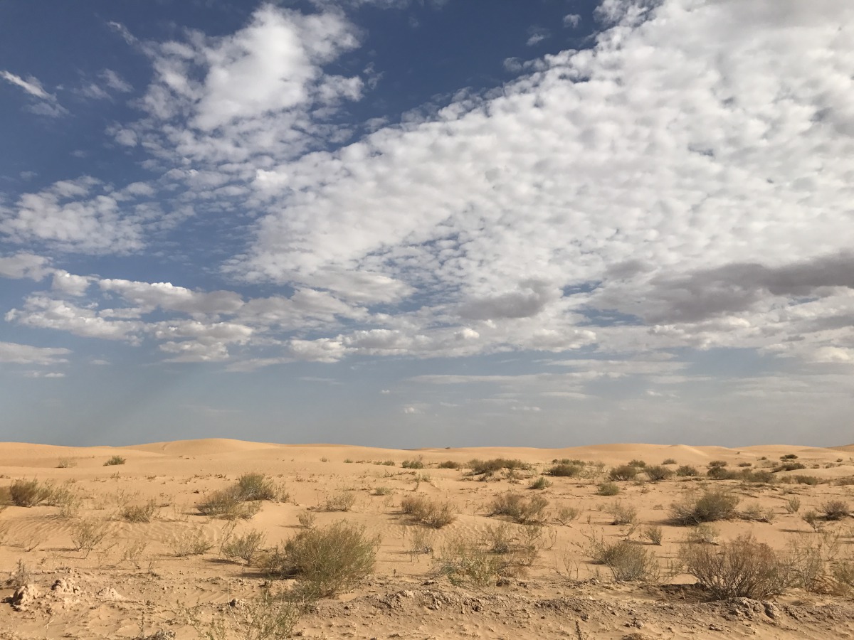 ▲	阿拉善SEE公益治沙示範基地位於騰格里沙漠邊緣，治沙成效良好